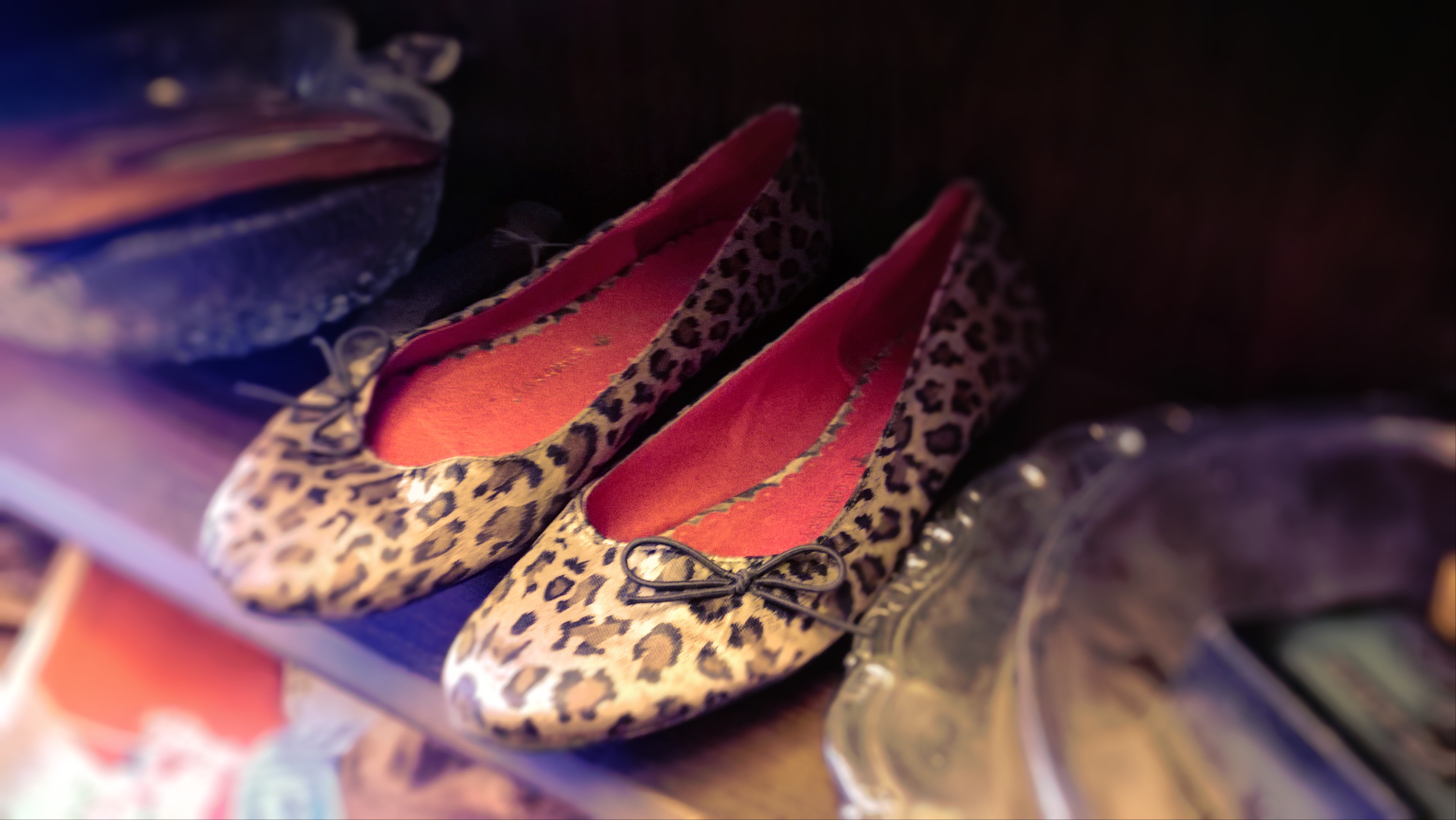 WP_20140104_01820140104154535