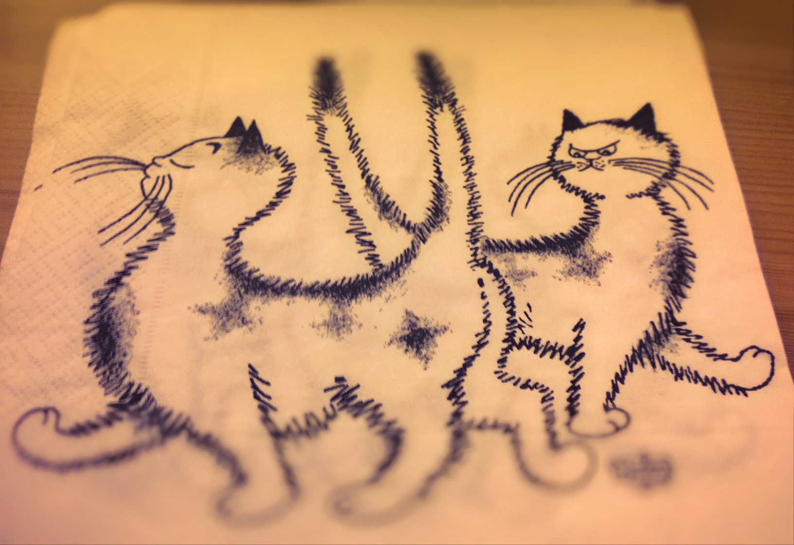 WP_20140124_01120140124234637